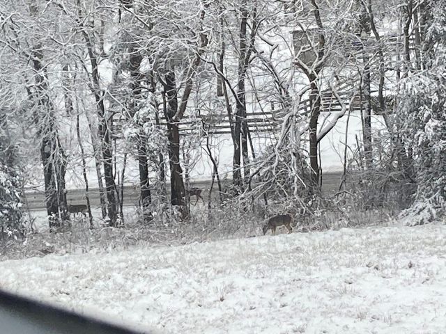 3203 Statesville Rd, Watertown, TN 37184