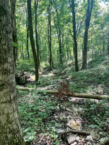 3203 Statesville Rd, Watertown, TN 37184