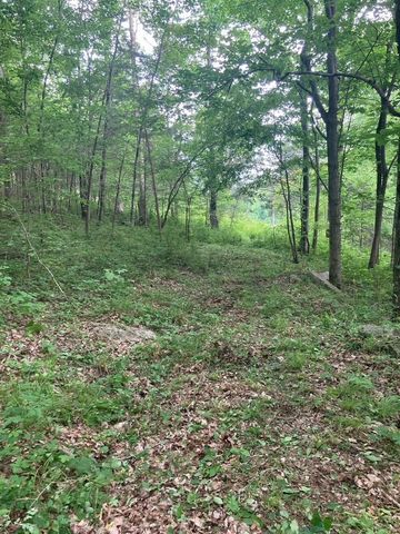 3203 Statesville Rd, Watertown, TN 37184