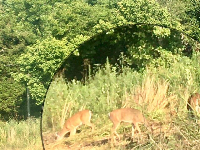 3203 Statesville Rd, Watertown, TN 37184