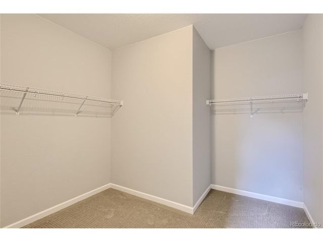 13800 Honey Hush Trl, Parker, CO 80134