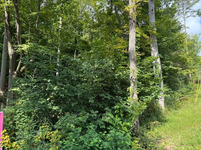 64 Riddle Street, Dayton, TN 37321