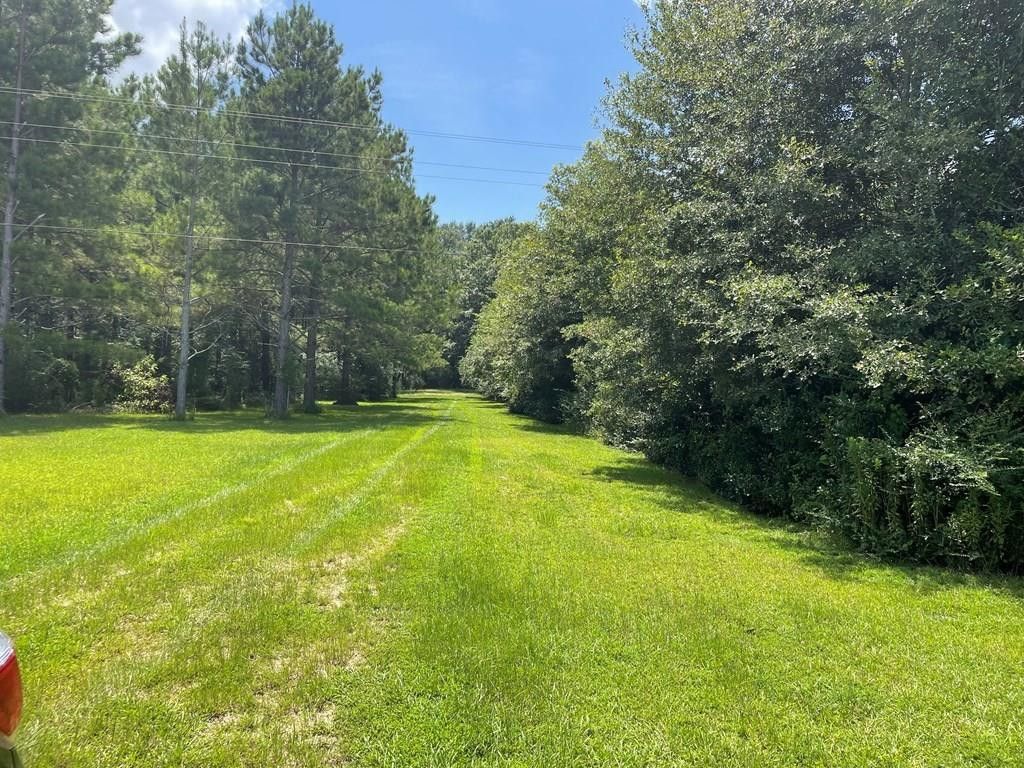 TBD Hwy 583, Tylertown, MS 39667
