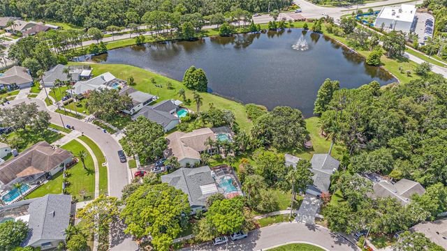 12014 LITTLEBERRY COURT, Tampa, FL 33635