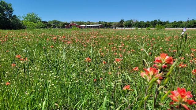 3164 Clater Powell Road, Waco, TX 76705