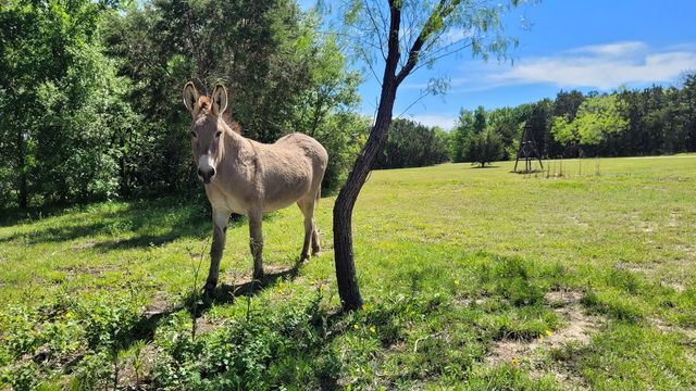 3164 Clater Powell Road, Waco, TX 76705