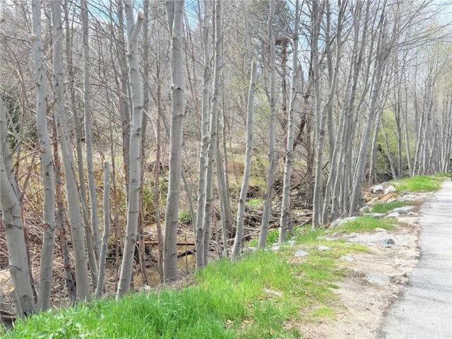 29949 Hook Creek, Cedar Glen, CA 92321