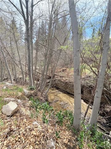 29949 Hook Creek, Cedar Glen, CA 92321
