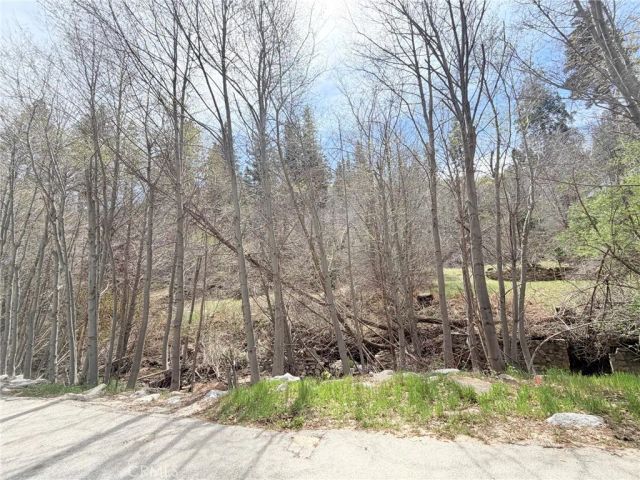 29949 Hook Creek, Cedar Glen, CA 92321