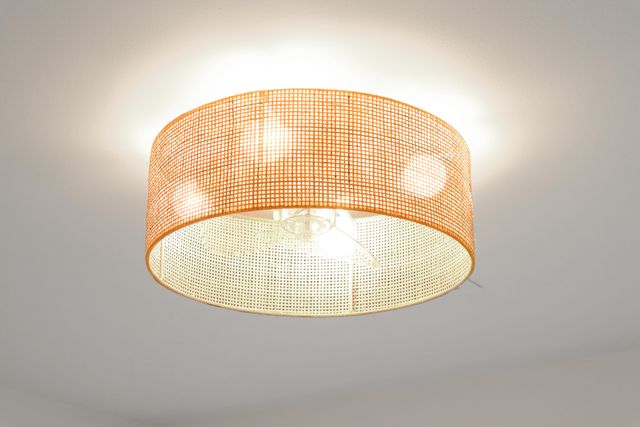 1368 Thayer Hall Drive, Mount Pleasant, SC 29466