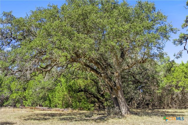 1151 Fawn Valley Drive, Canyon Lake, TX 78133