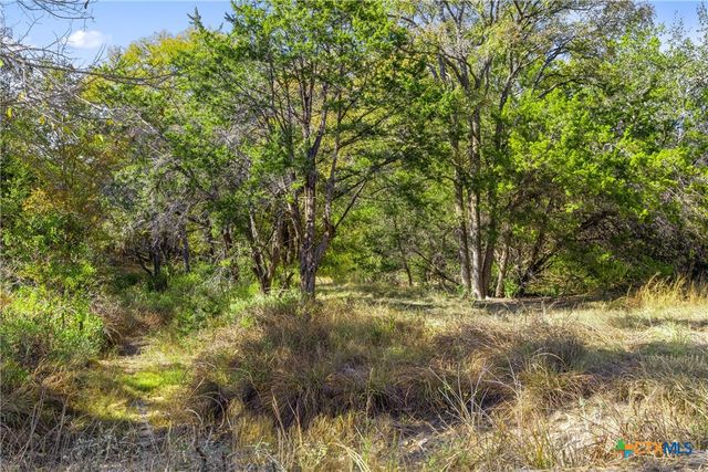 1151 Fawn Valley Drive, Canyon Lake, TX 78133