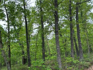 Arabian Lane, Rogers, AR 72756