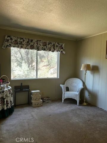 1871 Matuse, Pine Mountain Club, CA 93222