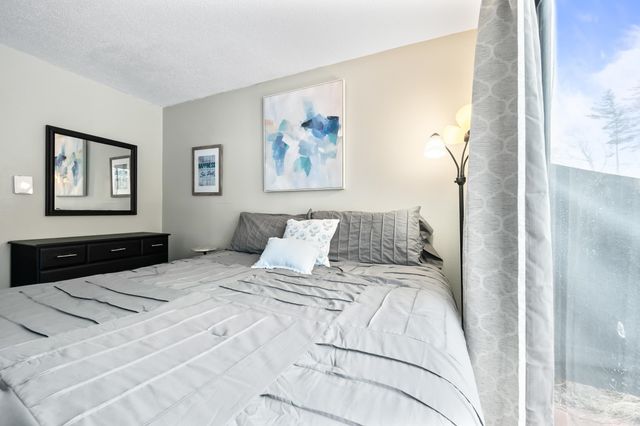 46 Linderhof Golf Course Road D5, Bartlett, NH 03838