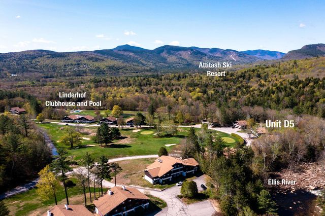 46 Linderhof Golf Course Road D5, Bartlett, NH 03838