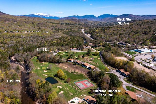 46 Linderhof Golf Course Road D5, Bartlett, NH 03838