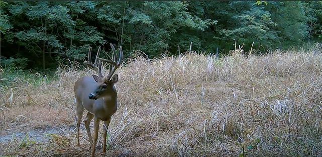 SW Old Highway Road, Rushville, MO 64484