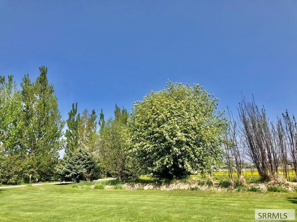 Image 64 of property listing at 296 N 4115 E, Rigby, ID 83442