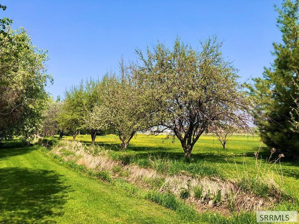 Image 67 of property listing at 296 N 4115 E, Rigby, ID 83442