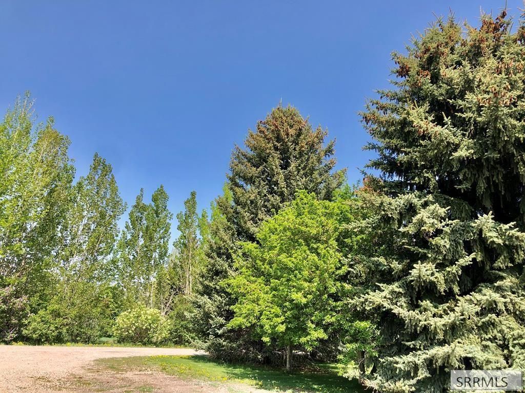 Image 69 of property listing at 296 N 4115 E, Rigby, ID 83442