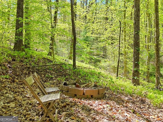 772 Glassy Mountain, Tiger, GA 30576