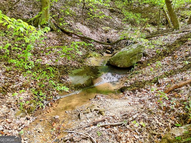 772 Glassy Mountain, Tiger, GA 30576