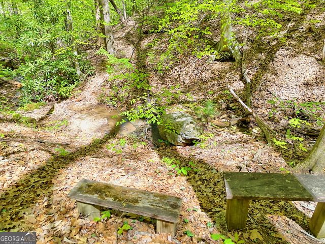 772 Glassy Mountain, Tiger, GA 30576