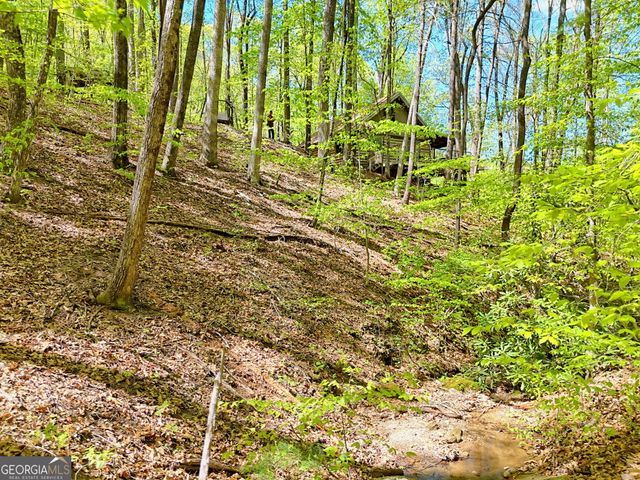 772 Glassy Mountain, Tiger, GA 30576