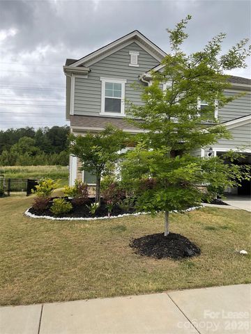 19108 Yellow birch Drive, Charlotte, NC 19108