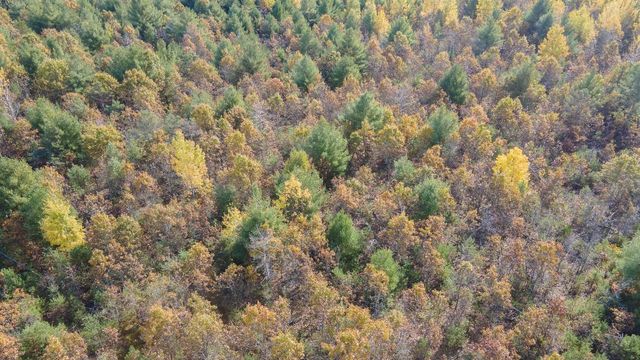 N3694 STATE ROAD 73, Wautoma, WI 54982