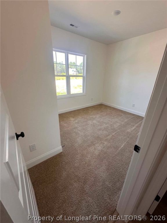 307 Barberry Road, Raeford, NC 28376 — photo 11
