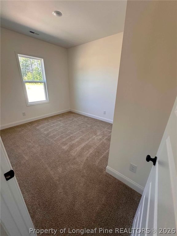 307 Barberry Road, Raeford, NC 28376 — photo 12