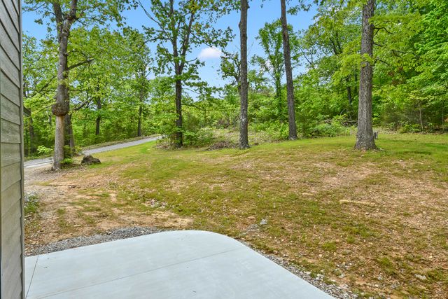 1 Top Lane, Lampe, MO 65681