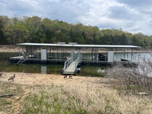 1 Top Lane, Lampe, MO 65681