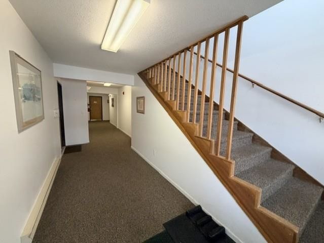 1011 E Lincoln Street, East Tawas, MI 48730