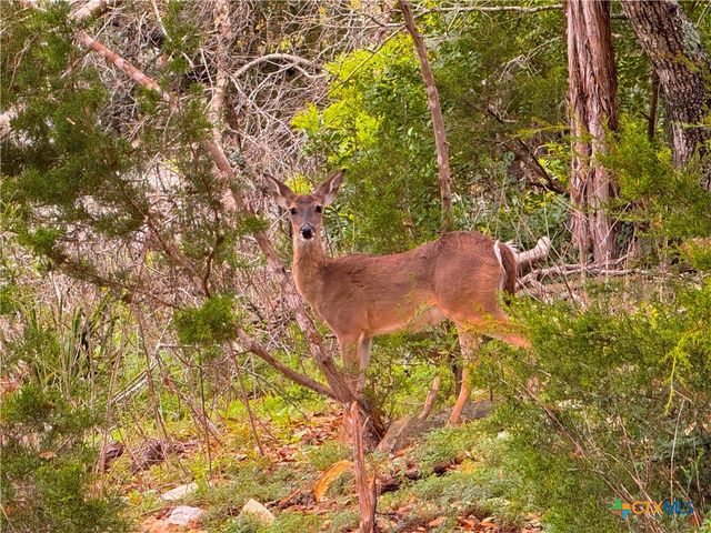 2154 Alto Lago, Canyon Lake, TX 78133