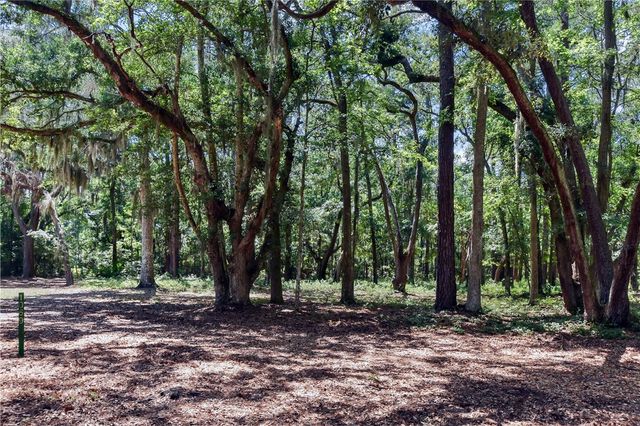 1069 Shellman Hammock Drive NE, Townsend, GA 31331