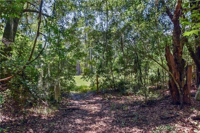 1069 Shellman Hammock Drive NE, Townsend, GA 31331