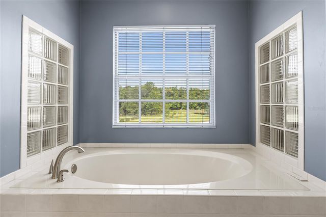 32839 WEBBS WAY, Sorrento, FL 32776