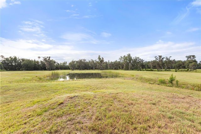 32839 WEBBS WAY, Sorrento, FL 32776