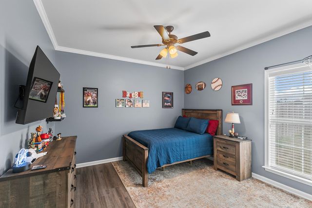 265 Magnolia Lane, Newton, AL 36352