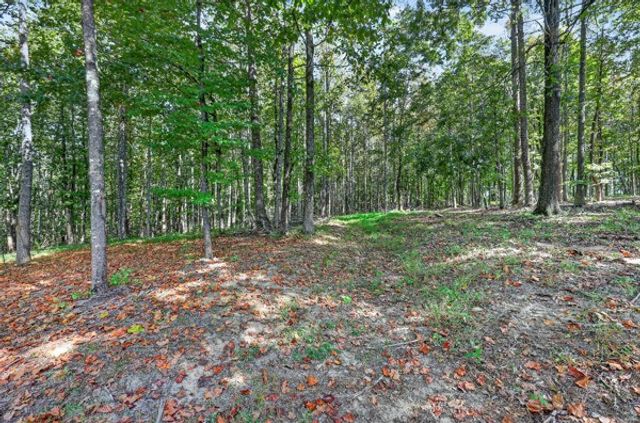 2318 Dobbins Pike, Portland, TN 37148
