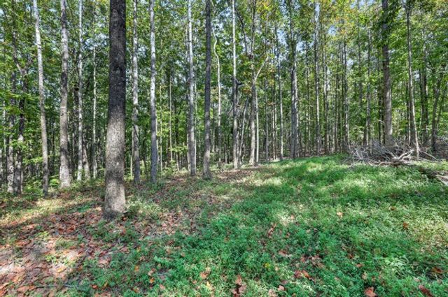 2318 Dobbins Pike, Portland, TN 37148