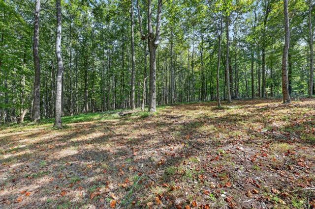 2318 Dobbins Pike, Portland, TN 37148