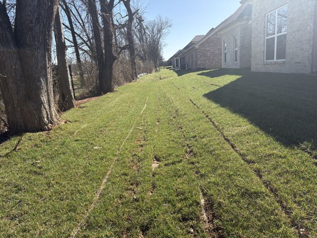 920 Licinius Ln, Murfreesboro, TN 37128