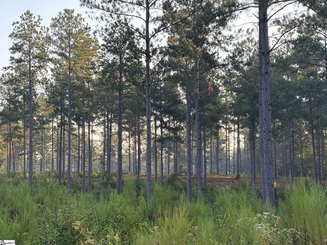 334 Berry Road, Pelzer, SC 29669