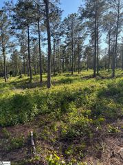 334 Berry Road, Pelzer, SC 29669
