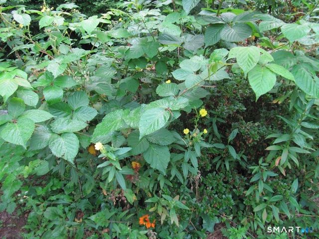44 Granada Terrace, New London, CT 06320