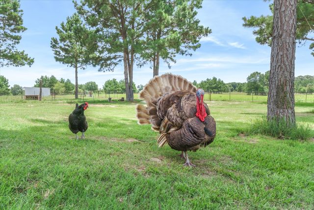 132 Private Road 7105, Edgewood, TX 75117